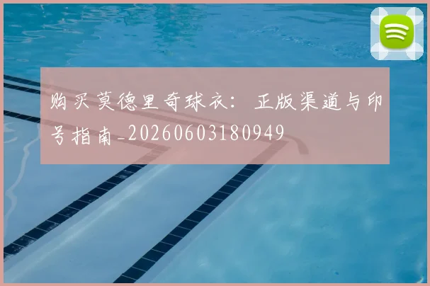 购买莫德里奇球衣:正版渠道与印号指南_20260603180949